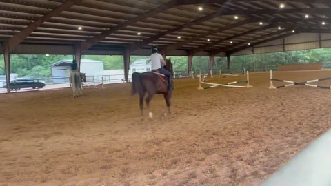 Ride with Dash two weeks ago