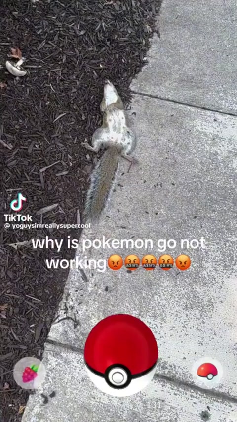 NOT MY VID