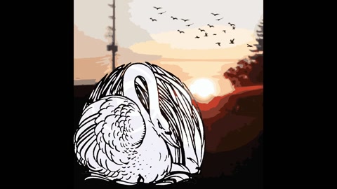 crane (offical audiooooo)