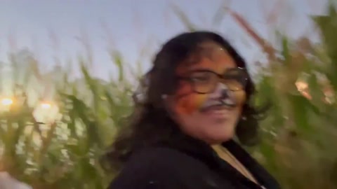 Pumpkin patch