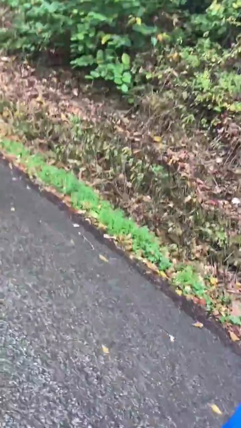 Singing durch den Monsun by Tokio Hotel in the rain