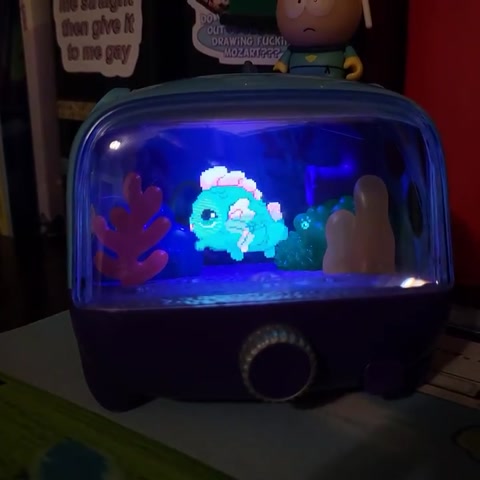 Sea Monkey shaking ass