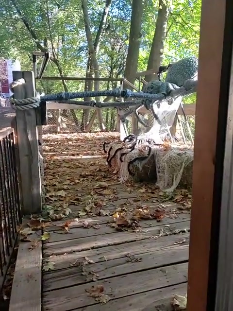 Jbzoo-zoo goes boo