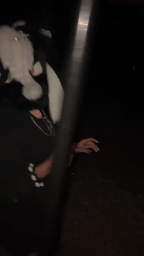 Skunk at da park