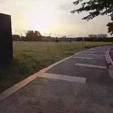 taking a walk in the park