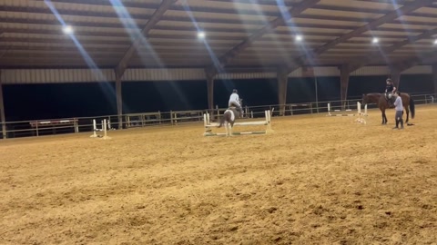 Lesson with Tex (the horse)